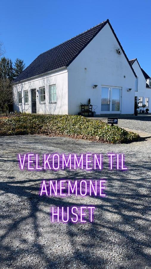 Anemone Huset Apartamento Vorbasse Exterior foto